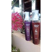 Cặp dầu gội xả Keratin Repair Minimo 750ml x2