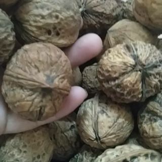 Dầu óc chó . 100/100 nguyên chất