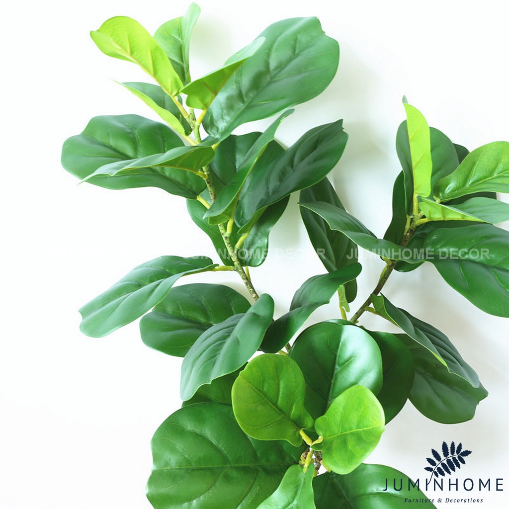 Cành bàng Singapore - Cây hoa giả Decor trang trí nhà cửa nội thất phòng khách, phòng ngủ