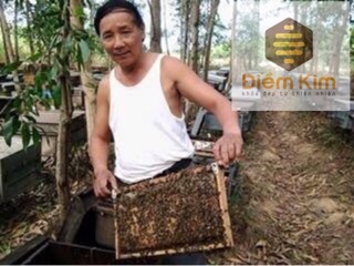 Combo 2 Hũ Sữa Ong Chúa Tươi Tặng Cọ Đắp Mặt