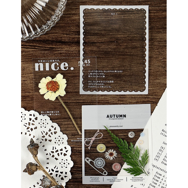 Sticker PET khung phim ảnh