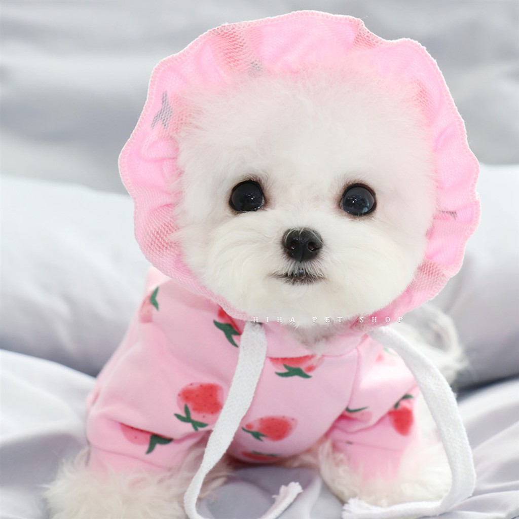 Áo Hoodie Len Thun Ấm Có Nón Chó Mèo Hoạ Tiết Trái Đào Cute Hihapet Mặc Ấm Áp.