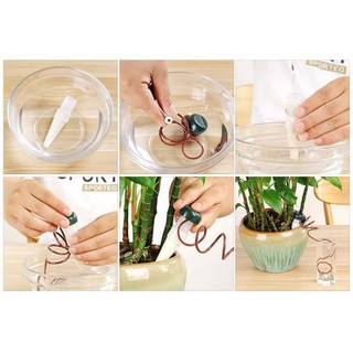 comb 2 Dụng cụ tưới cây tự động,,,,