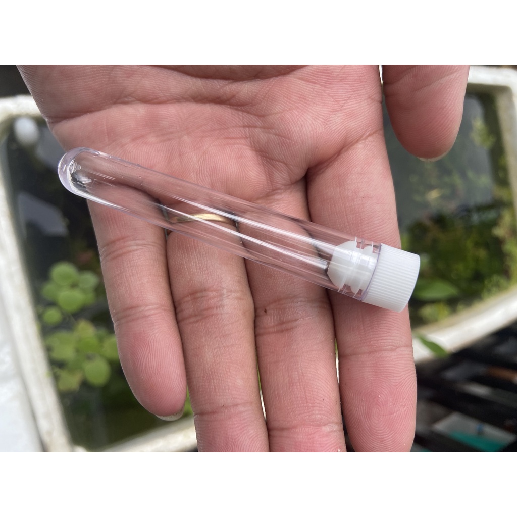 Ống trữ thức ăn 5ml,10ml