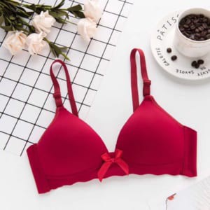 Áo lót nữ - Áo Ngực Đính Nơ Không Gọng Đệm Mỏng Viền Sóng Cực Xinh - AL 6699