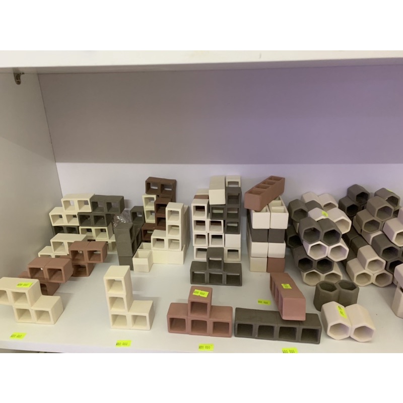 Hang Pleco “HANG 4 LỖ - 80k”