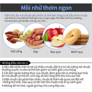 HỘP BẨY CHUỘT THÔNG MINH