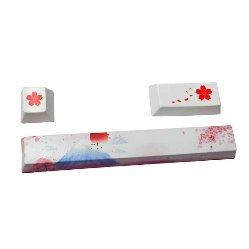 Nút Space Thay Thế Pbt 6.25 Họa Tiết Hoa Anh Đào Xinh Xắn