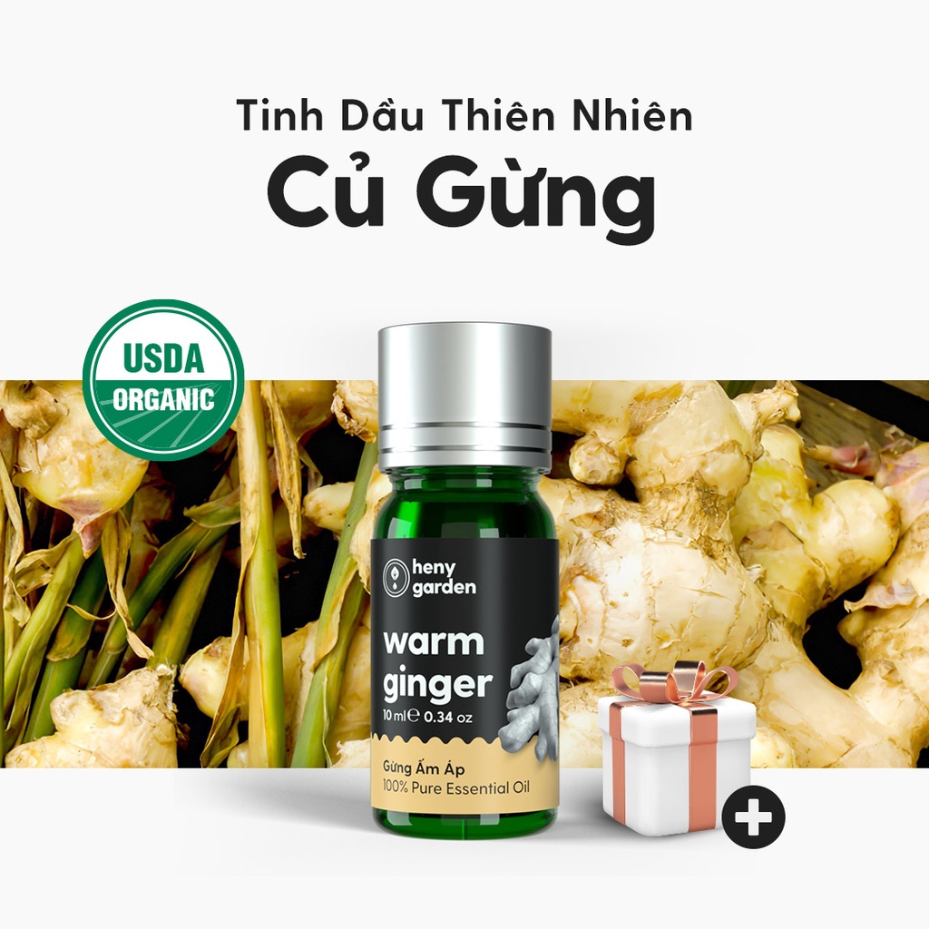 Tinh Dầu Gừng (Ấm Nóng) Organic Thiên Nhiên Nguyên Chất Đậm Đặc Xông Thơm Phòng, Làm Nến Thơm HENY GARDEN