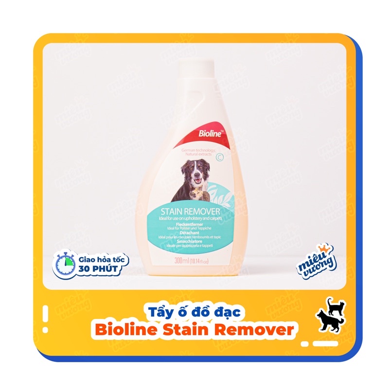 Bình xịt tẩy ố đồ đạc [Chai 300ml]