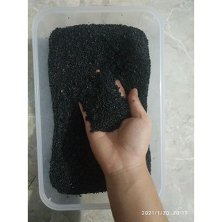 Hạt giống cỏ may mắn gói 10g