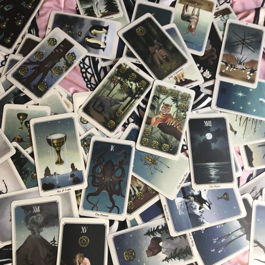 Tarotscopes Bộ bài Tarot Anima Mundi Tarot