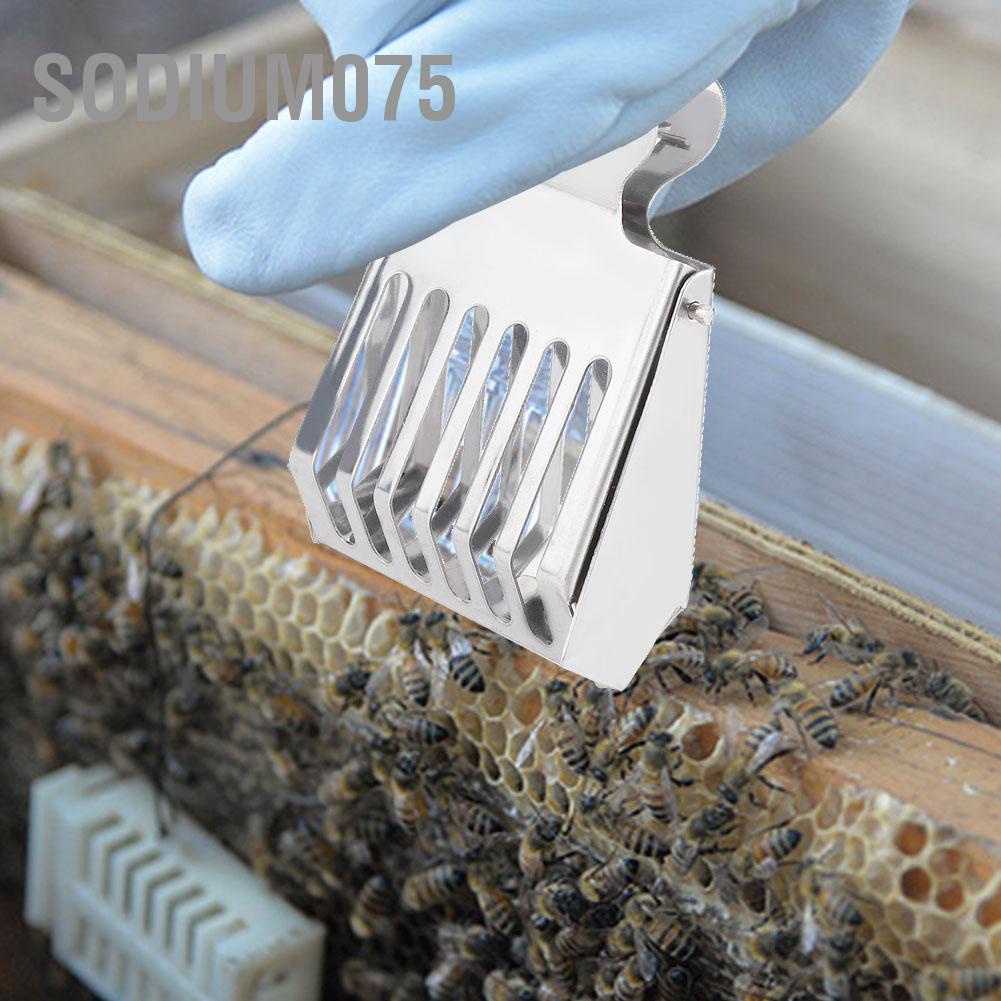 Sodium075 Stainless Steel Queen Bee Catcher Clip Cage Catching Tool for Beekeepers