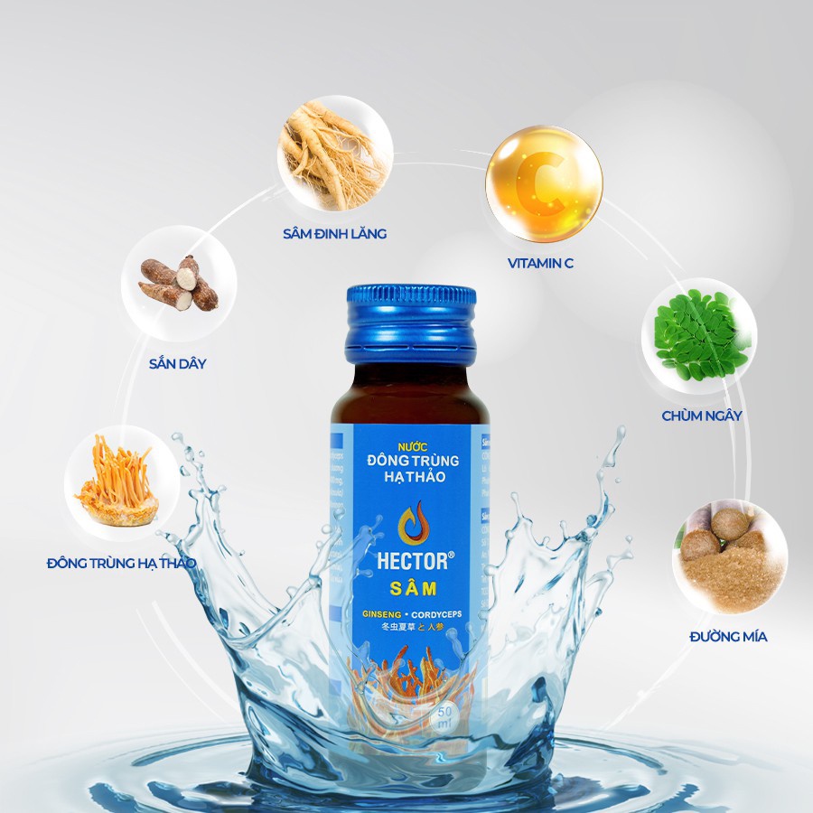 Nước đông trùng hạ thảo Hector Sâm (Hộp 10 lọ)