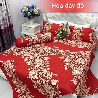XÃ HÀNG Bộ drap gói cotton Hàn Quốc 1m6 x 2m