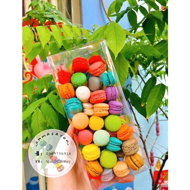 Set 50c macaron mini kèm hộp