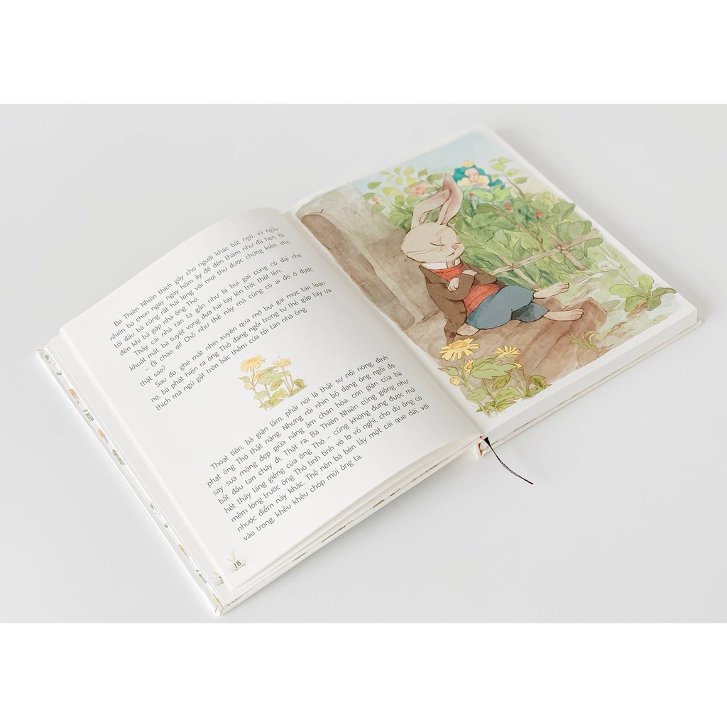 Sách - Combo 3 cuốn truyện kể cho bé trước giờ đi ngủ Thỏ Peter, Mẹ Già Gió Tây, Già Ếch - Thornton Burgess | BigBuy360 - bigbuy360.vn