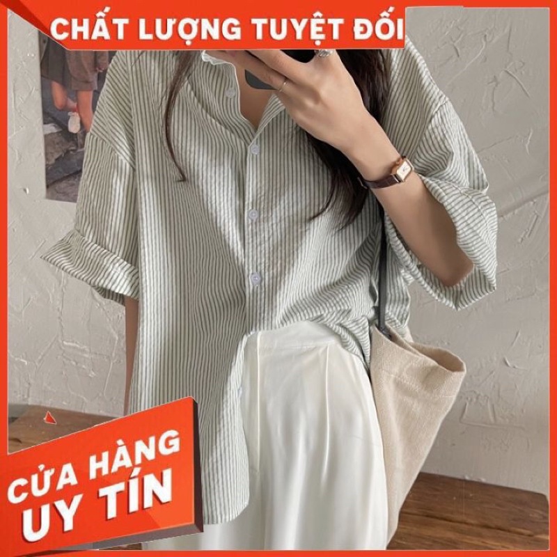 Áo Sơ Mi Cộc Chất Xốp Nổi Hoạ Tiết Kẻ Sọc Dành Cho Nữ