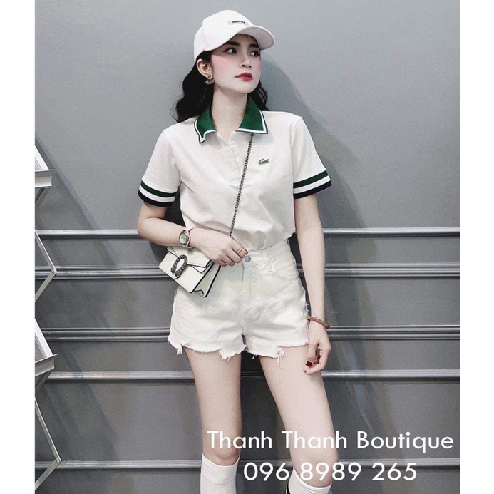 Áo polo cá sấu cổ xanh lá TC6