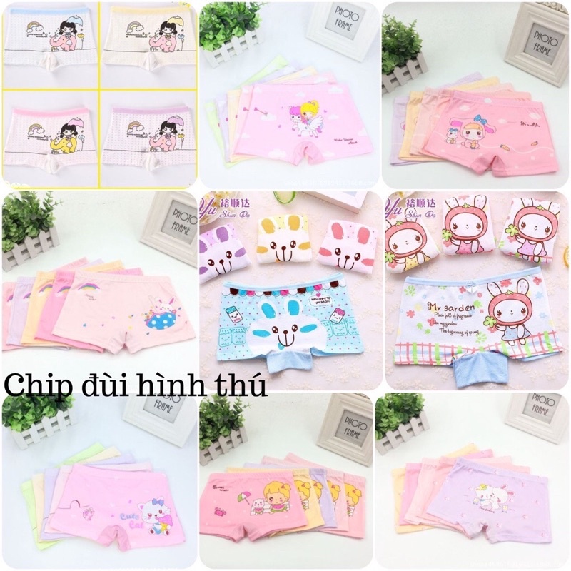 Quần chip đùi cotton, Quần chip đùi cho bé 2-12 tuổi hình cô bé nhiều màu sắc co giãn và thấm hút tốt
