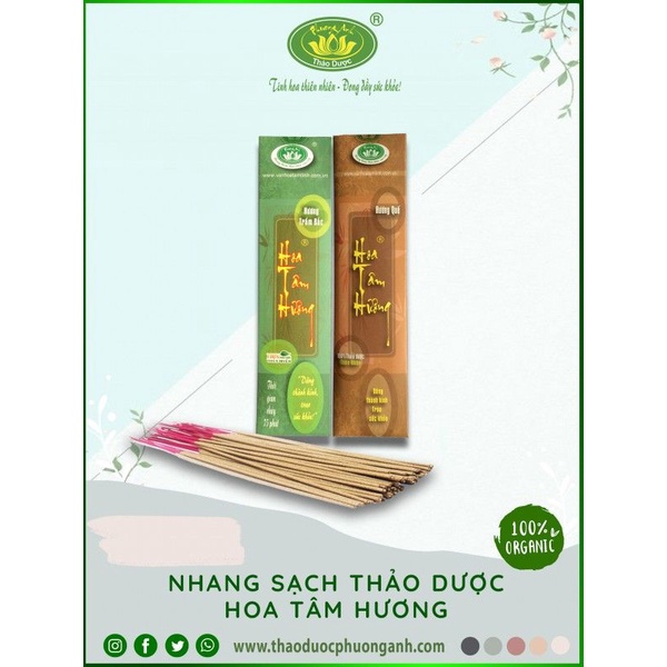 Hoa tâm hương - hương thảo dược Phương Anh 3 tấc 150 - 300 cây