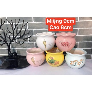 Chậu sứ miệng bèo