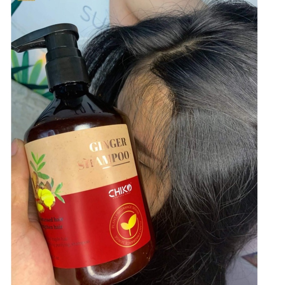 Dầu gội gừng tươi ngăn rụng tóc, kích thích mọc tóc, thư dãn da đầu
