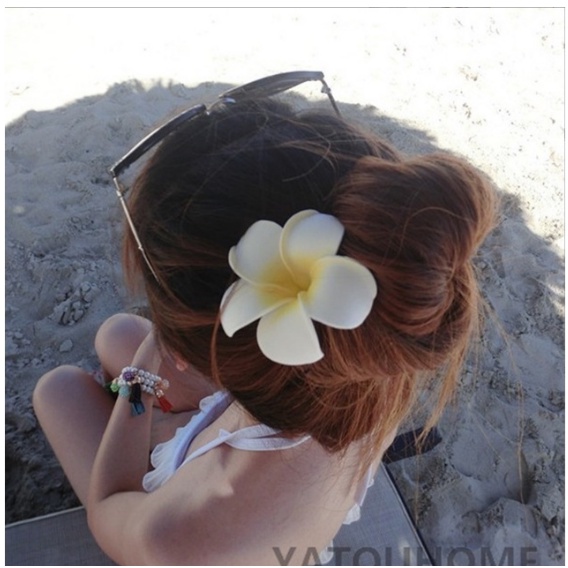 Hoa Cho Tóc Đi Biển 1 Cái Sứ