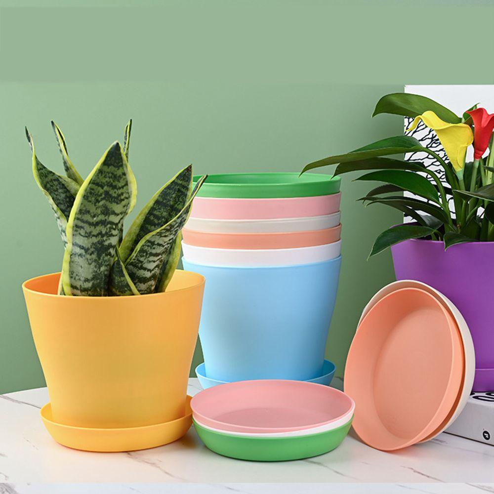 FAY Chậu Hoa Kèm Khay Dùng Trang Trí Ban Công / Sân Vườn Nhiều Màu Sắc