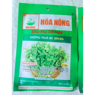 Hạt giống ngò rí