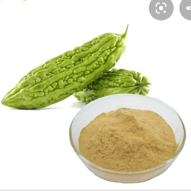 100gram bột khổ qua rừng Handmade