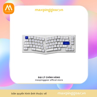 Bàn phím cơ Akko ACR Pro Alice Plus (RGB / Hotswap / Gasket Mount / AKKO CS Crystal)