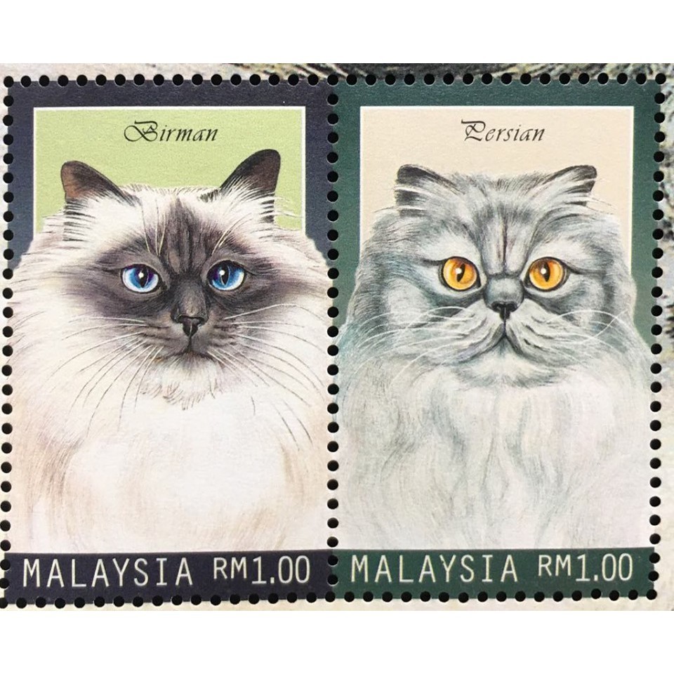 Bộ Tem Sưu Tầm Malaysia 1999 Các Loài Mèo Đáng Yêu - 4 Con Stamps.