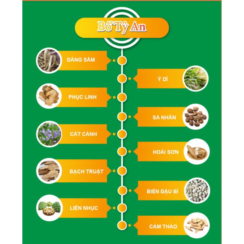 Bổ Tỳ An - Siro giúp bổ tỳ kiện vị, trẻ ăn ngon tăng đề kháng - Hộp 20 ống - Thuocviet24h
