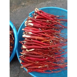 Sâm Cau Đỏ- 1 set/ 2kg- thaoduocsachdaklak