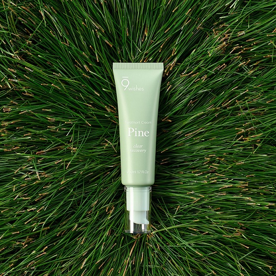 Kem dưỡng ẩm và thanh lọc da 9 Wishes Pine Treatment Cream 50ml
