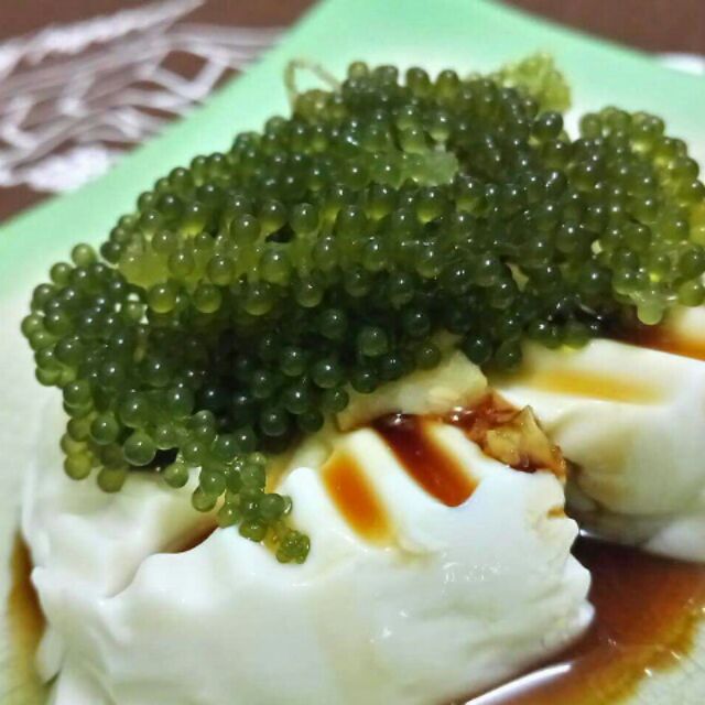 RONG NHO TÁCH NƯỚC