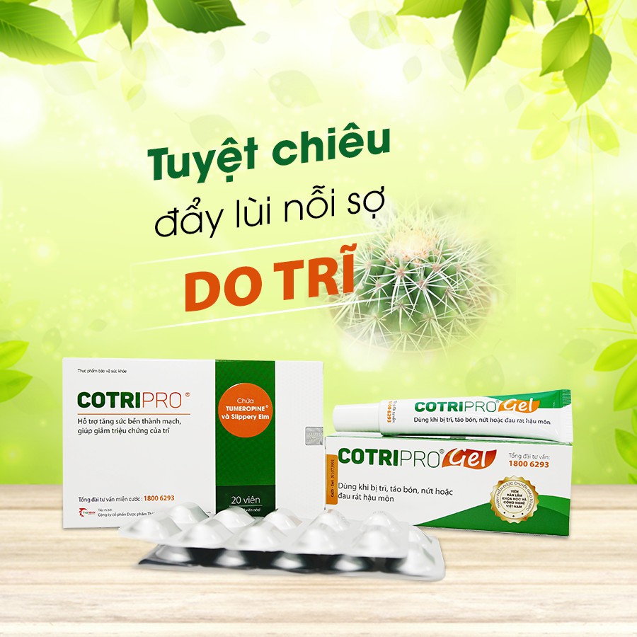 Viên uống trĩ Cotripro hỗ trợ làm giảm trĩ nội trĩ ngoại tăng sức bền thành mạch hộp 20 viên