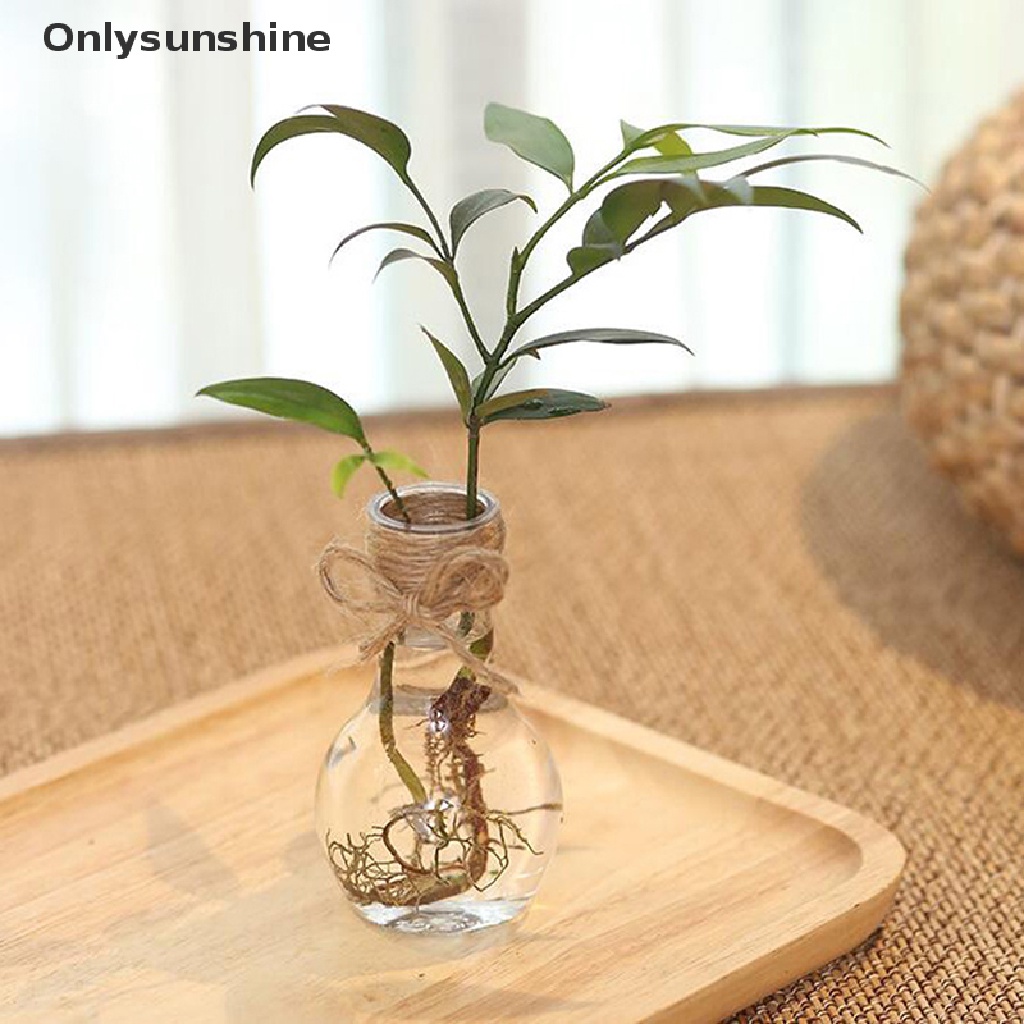 Thủy Canh Nhựa Trong Suốt Đơn Giản