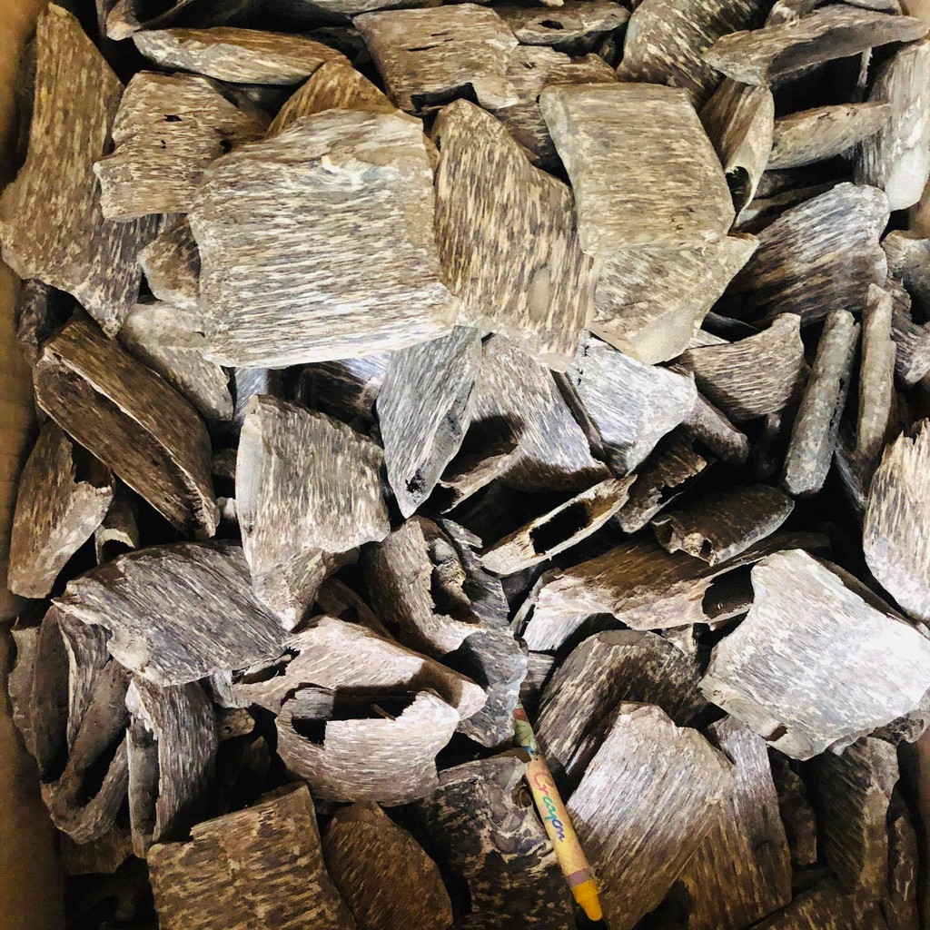 Trầm Hương Miếng Tự Nhiên Loại 1 [Trầm Hương Búp Sen]