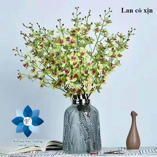 Hoa Lụa Để Bàn 🌺FREESHIP🌺 Hoa Lan Cò Cao Su