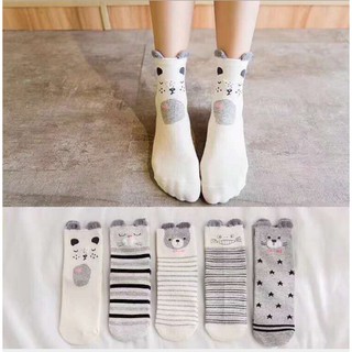 Set 5 đôi tất trẻ em kiểu hàn quốc