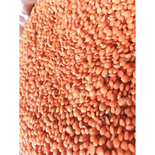 Đậu Lăng đỏ (Red Lentils) tách vỏ nguyên hạt, gói 500gr