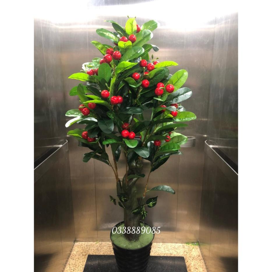 Cây giả - Cây sơri (cherry) đỏ 1,5m trang trí cực đẹp và sang, hàng sẵn kho