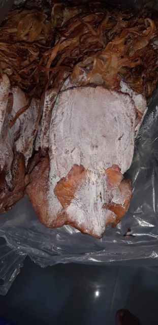 Mực xà . Mực đất.  Mực cơm