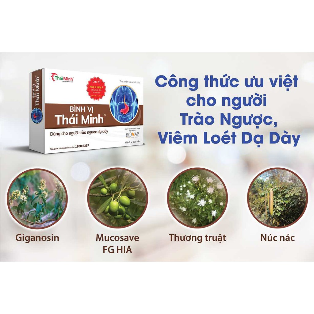 Bình Vị Thái Minh - hỗ trợ giảm đau dạ dày từ thảo dược