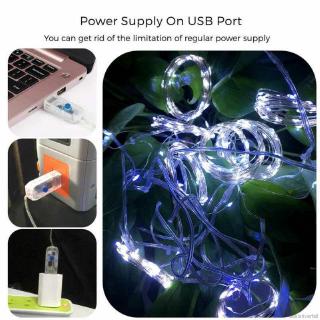 Dây Đèn Led Trang Trí 3mx3m 300 Bóng