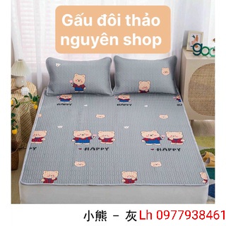 Chiếu điều hòa cao su non làm mát dễ ngủ tặng kèm 2 vỏ gối trải giường siêu đẹp