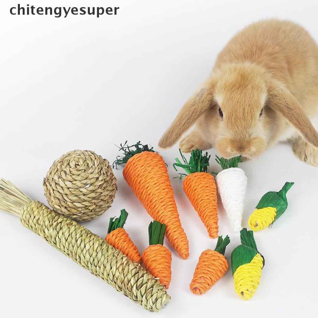 Đồ chơi nhai gặm hình củ cà rốt dễ thương cho chuột hamster / thỏ