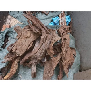Lũa Thủy sinh - Lũa san đá cành giá rẻ